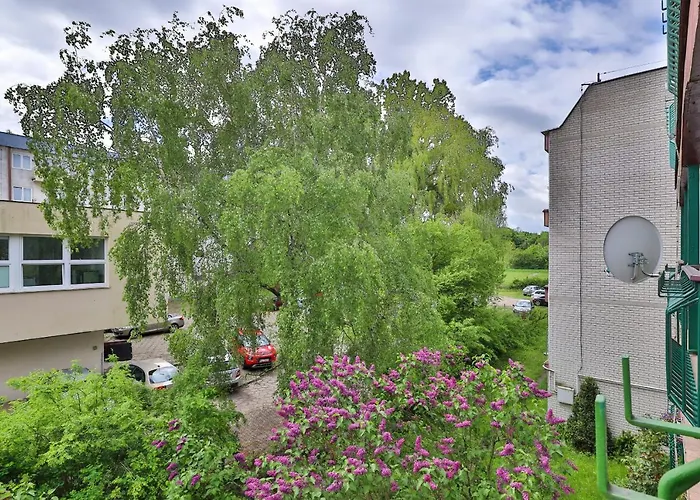 Lägenhet Karlikowo By Renters *